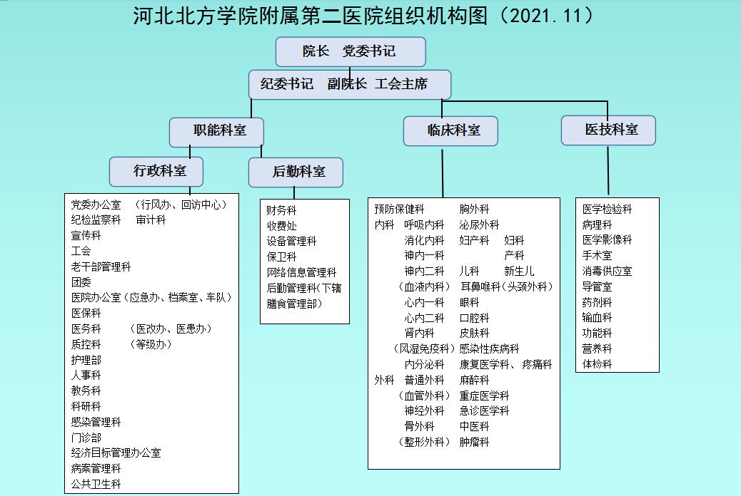 二级医院组织框架图图片